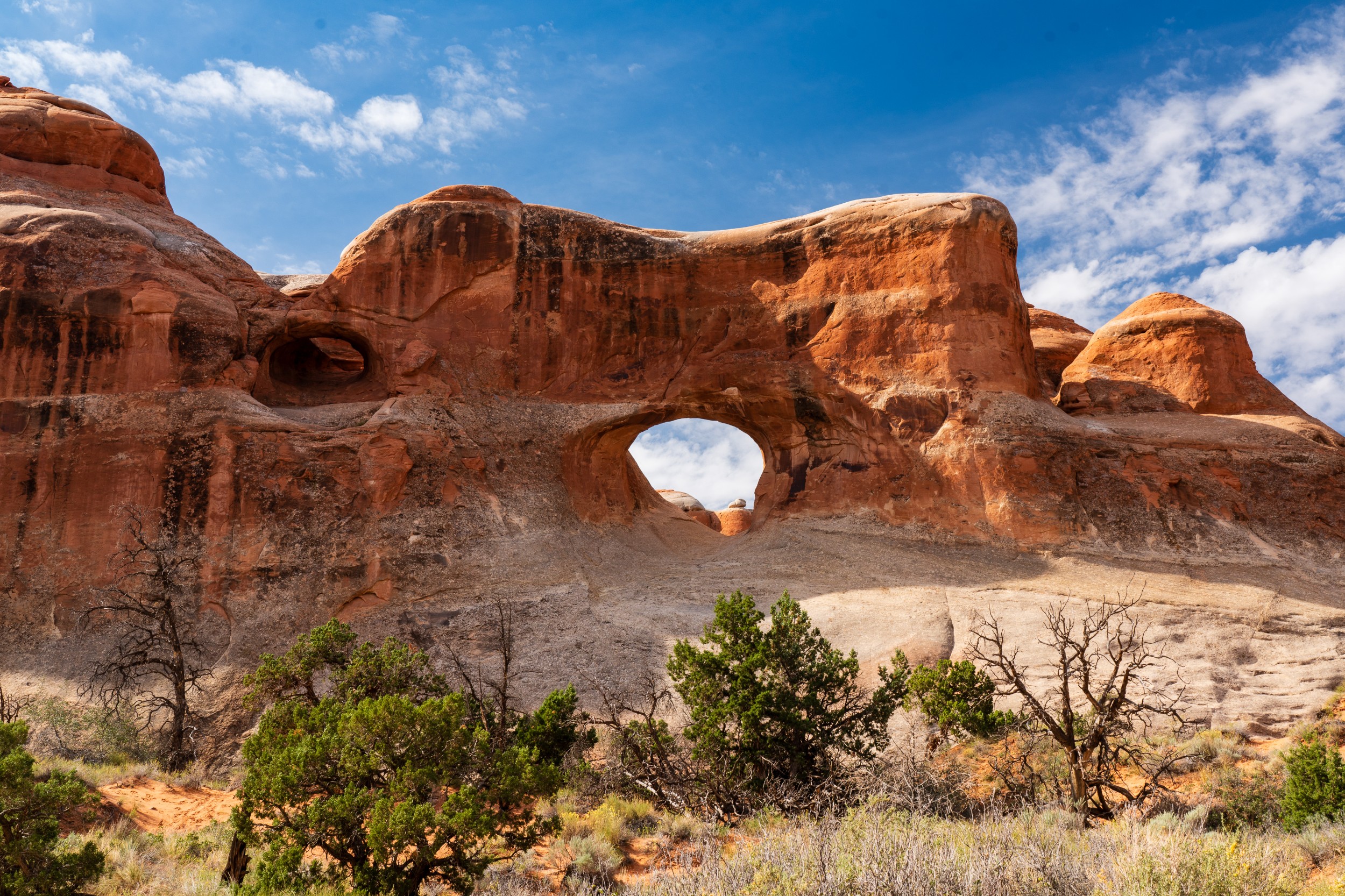 USA 2024 5 Sterne 116